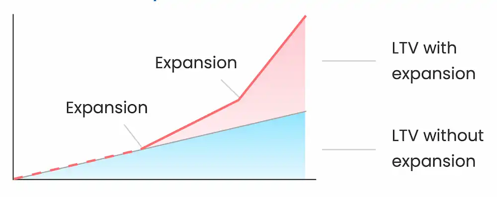 Whether or not you take expansion into account could impact your LTV greatly.